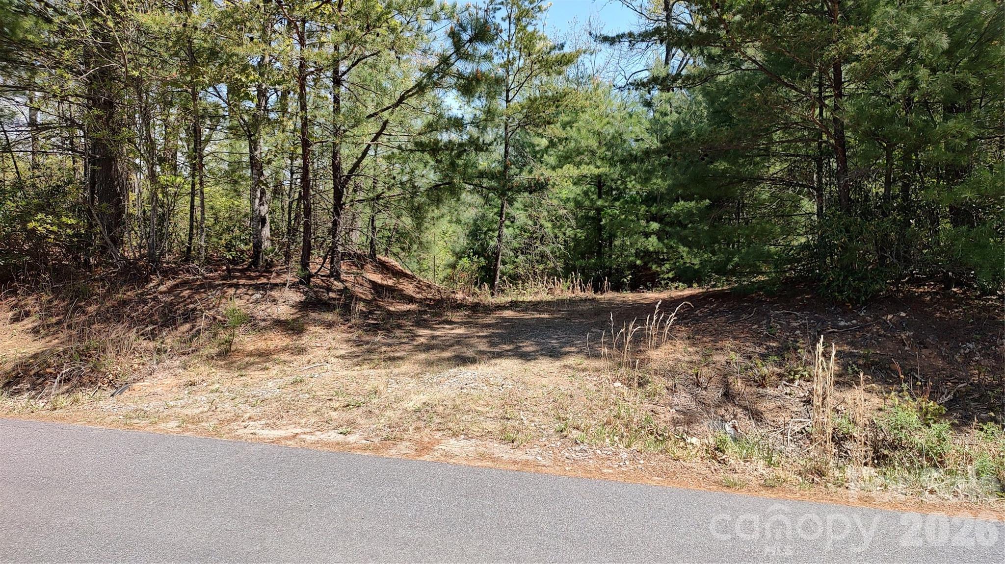 0 Staghorn Road Purlear, NC 28665 - Photo 3 of 6