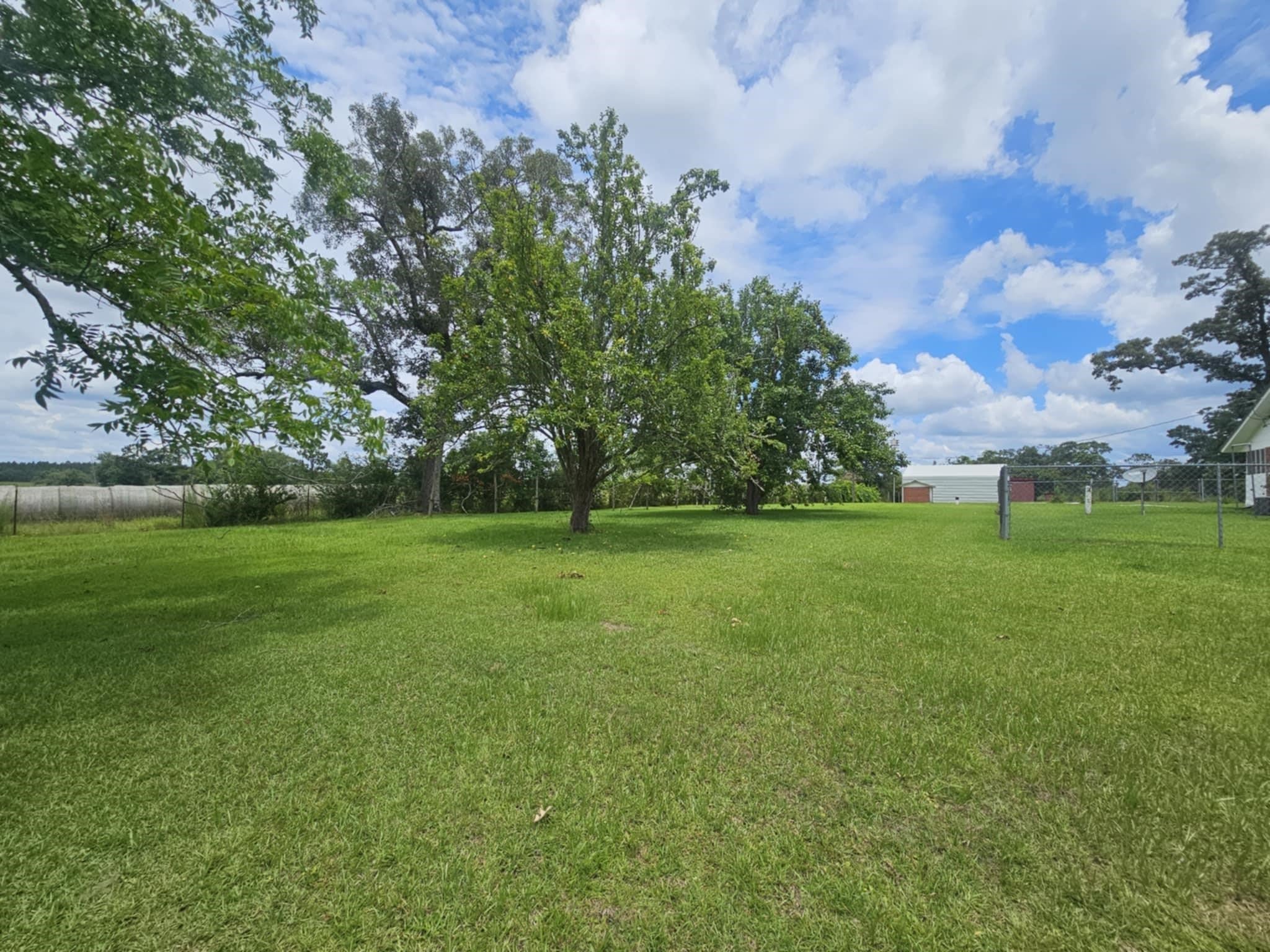 31761 Smyrna Road Florala, AL 36442 - Photo 11 of 15 Gallery Image 11