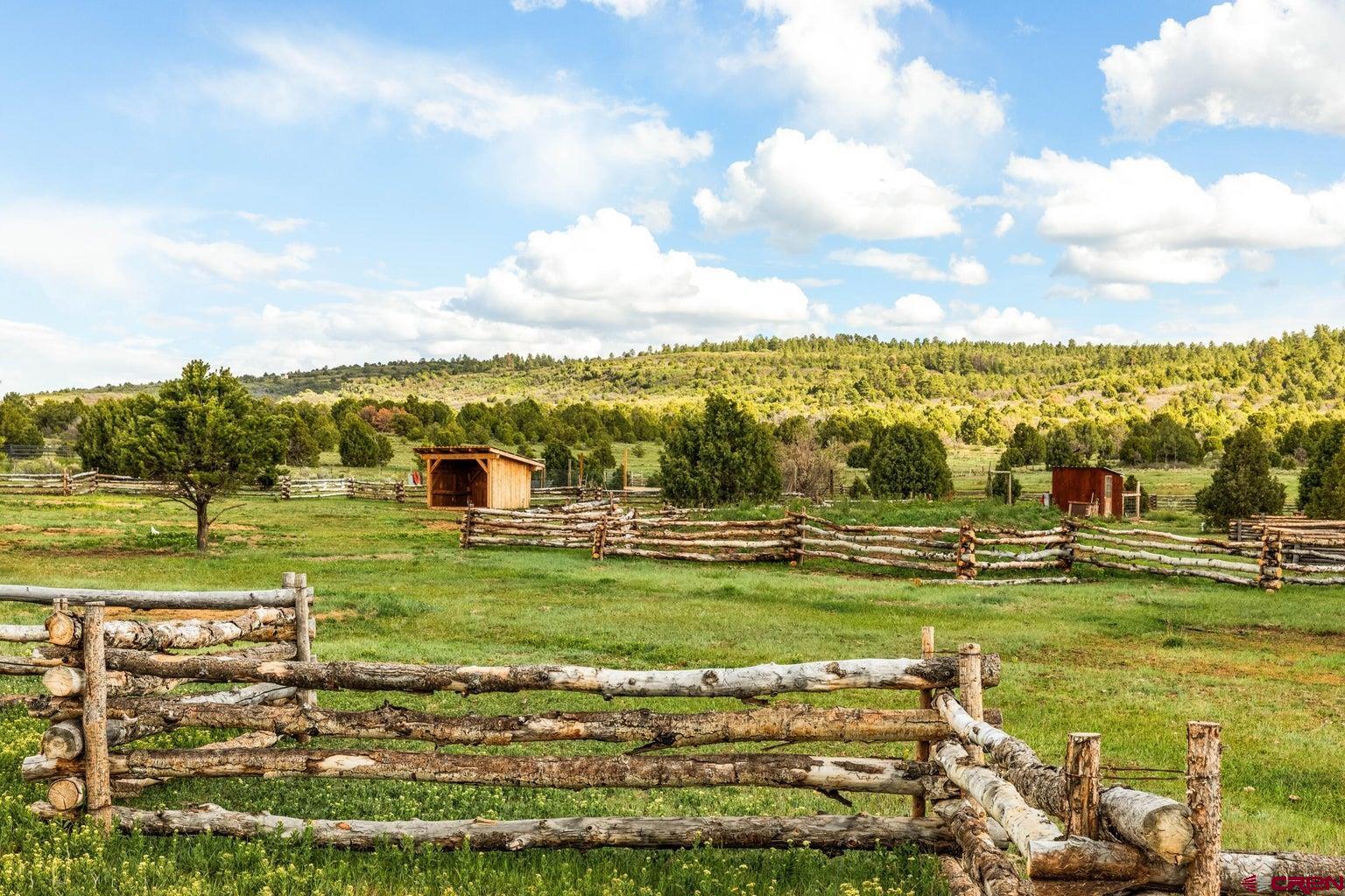 747 County V44 Road Norwood, CO 81423 - Photo 44 of 45