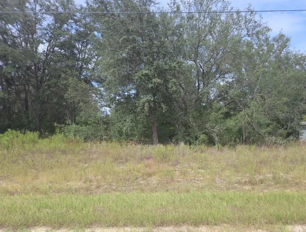 a view of a lake with a yard