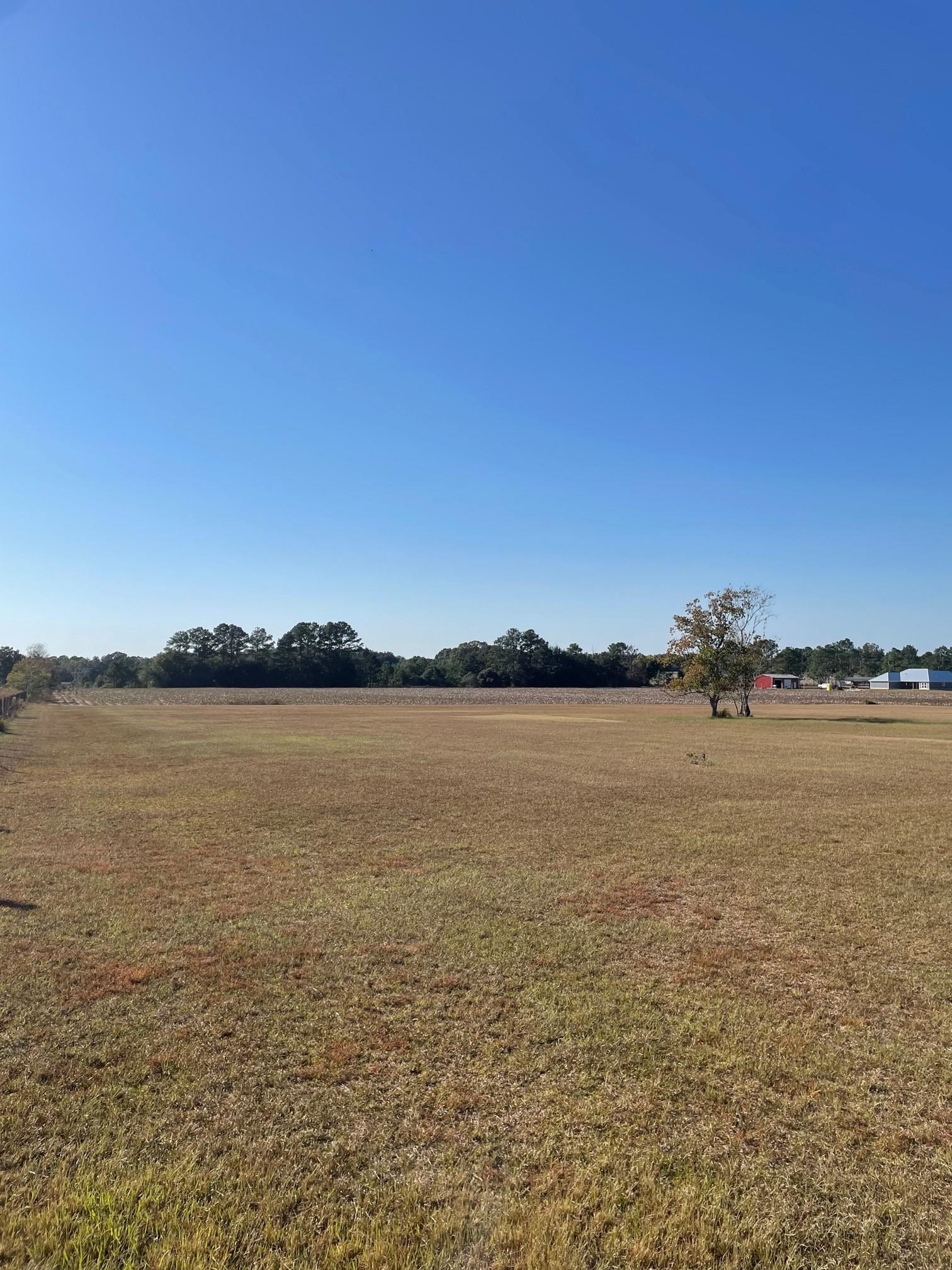 0 Glass And Spivey Road Robertsdale, AL 36567 - Photo 8 of 10