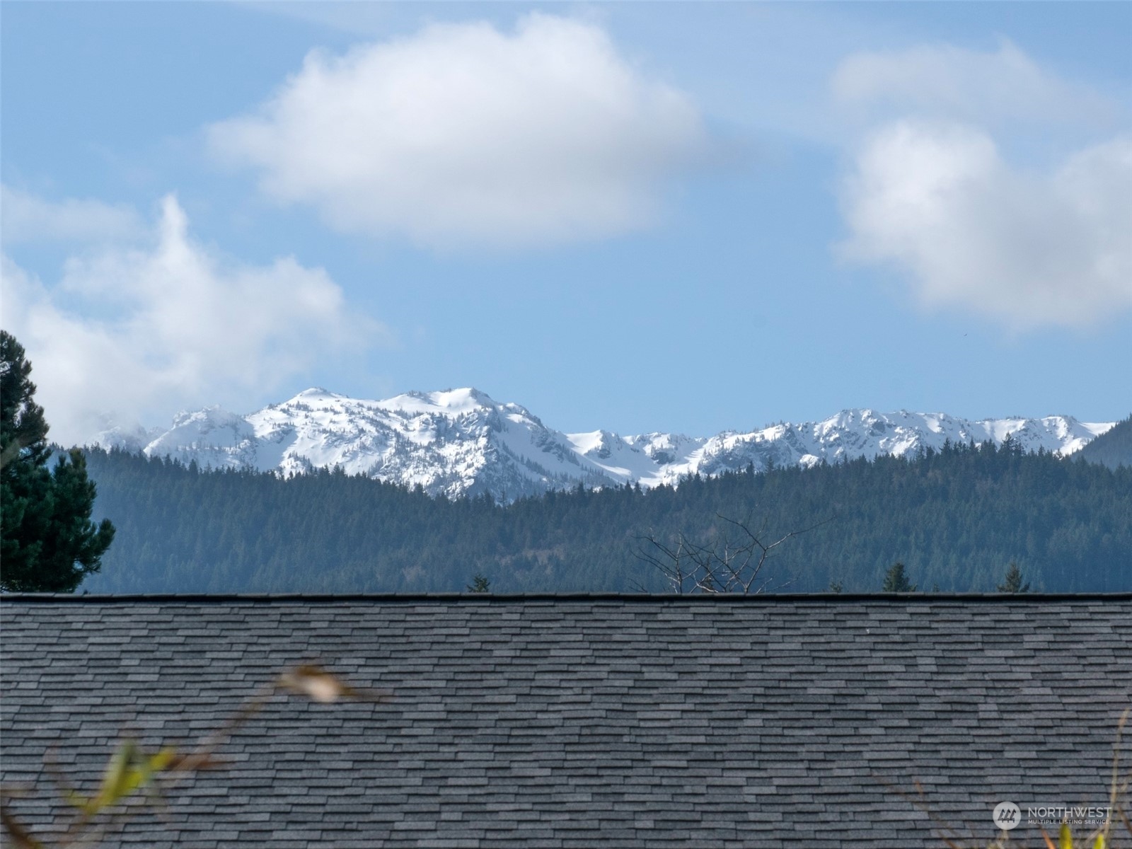 228 East Ahlvers Road Port Angeles, WA 98362 - Photo 3 of 40 Gallery Image 3
