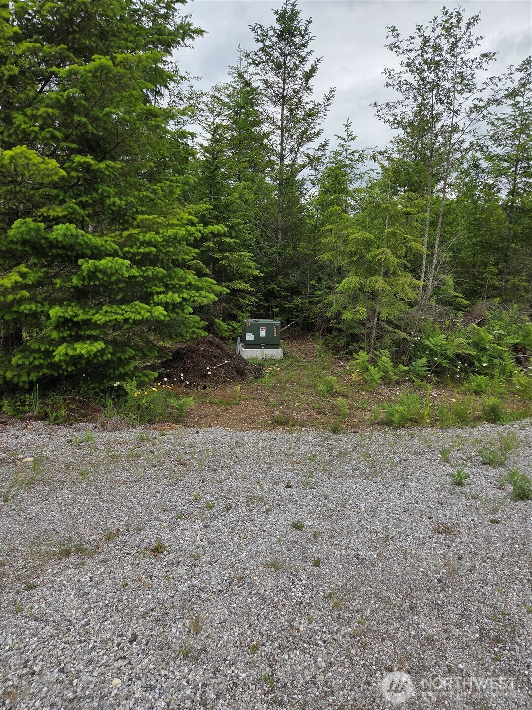 9242 Heady Road Sumas, WA 98295 - Photo 2 of 7