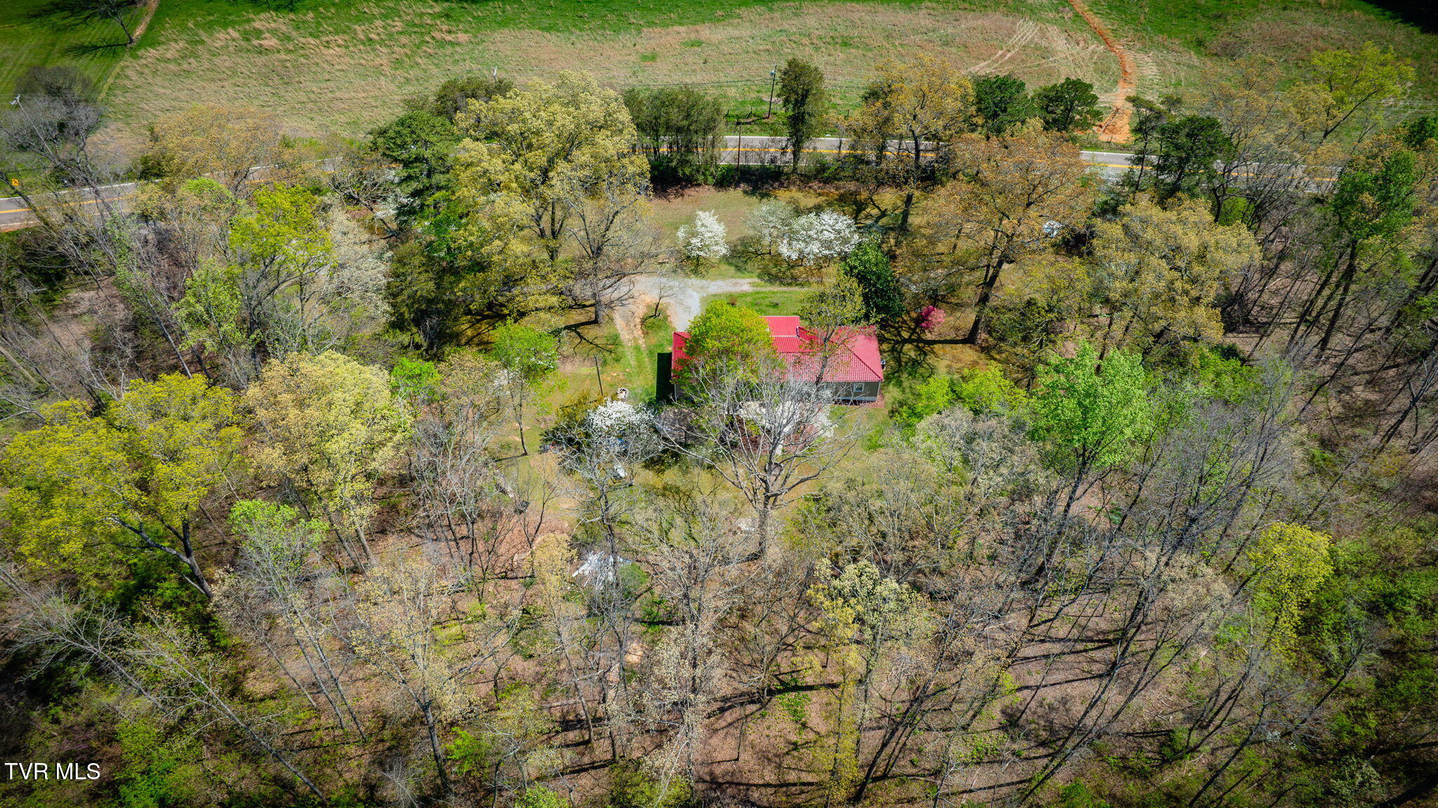 3990 Warrensburg Road Greeneville, TN 37743 - Photo 39 of 41 104