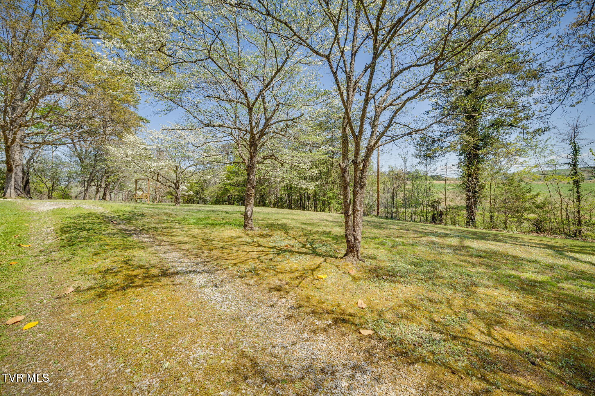 3990 Warrensburg Road Greeneville, TN 37743 - Photo 4 of 41 004
