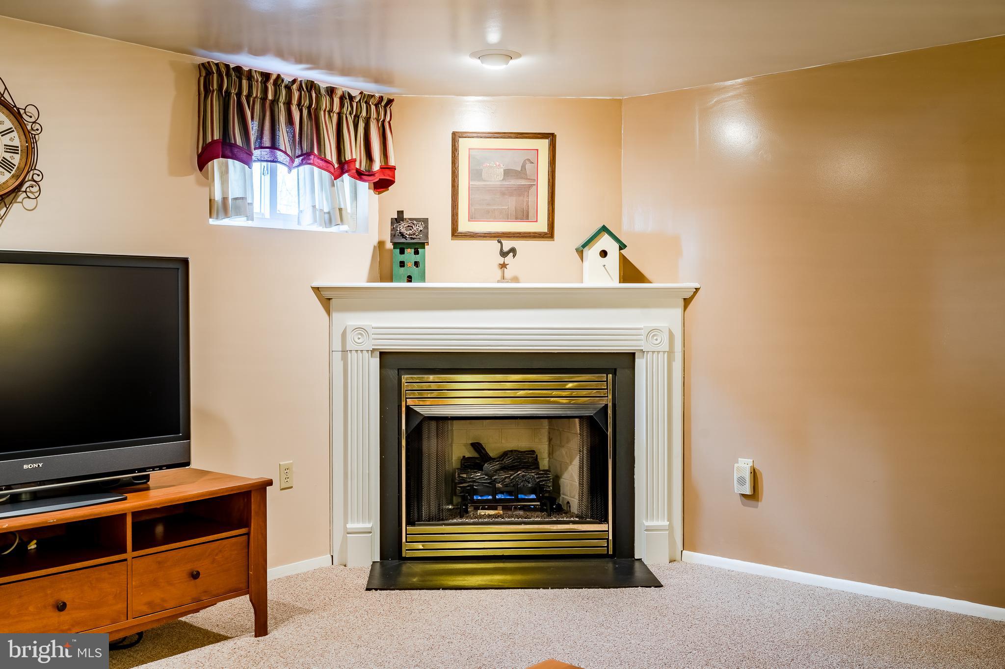 566 Evans Road Springfield, PA 19064 - Photo 36 of 53 Gas fireplace lower level