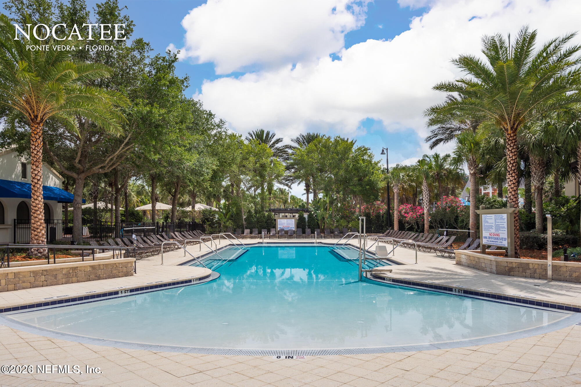 142 Jackrabbit Trail Ponte Vedra, FL 32081 - Photo 62 of 77 a view of a swimming pool with palm trees
