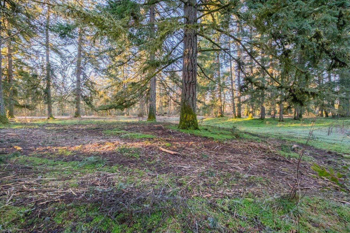 11997 Towers Road Southeast Stayton, OR 97383 - Photo 3 of 34