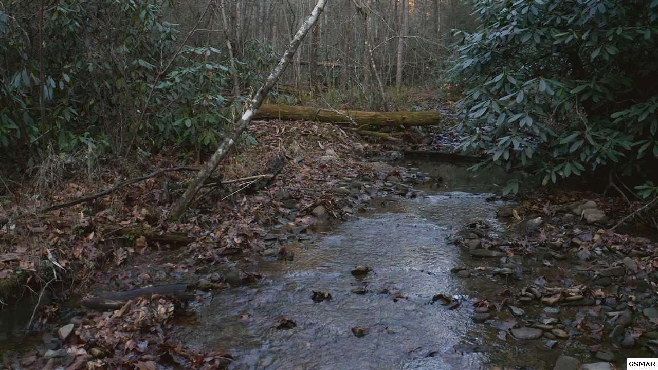 314 Hickey Road Sevierville, TN 37876 - Photo 4 of 36