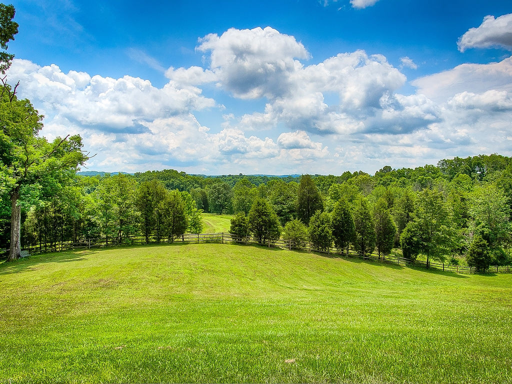 4027 Glen Alpine Road Kingsport, TN 37660 - Photo 23 of 34 Breathtaking Views