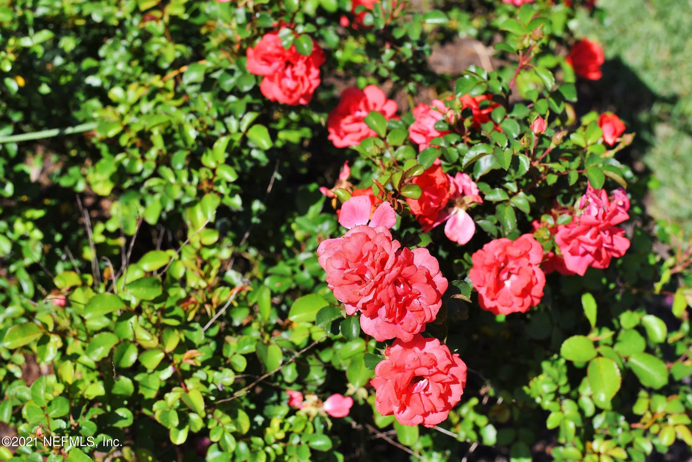 605 Donald Ross Way St. Augustine, FL 32092 - Photo 8 of 106 008-605DonaldRossWay-StAugustine-FL-3209