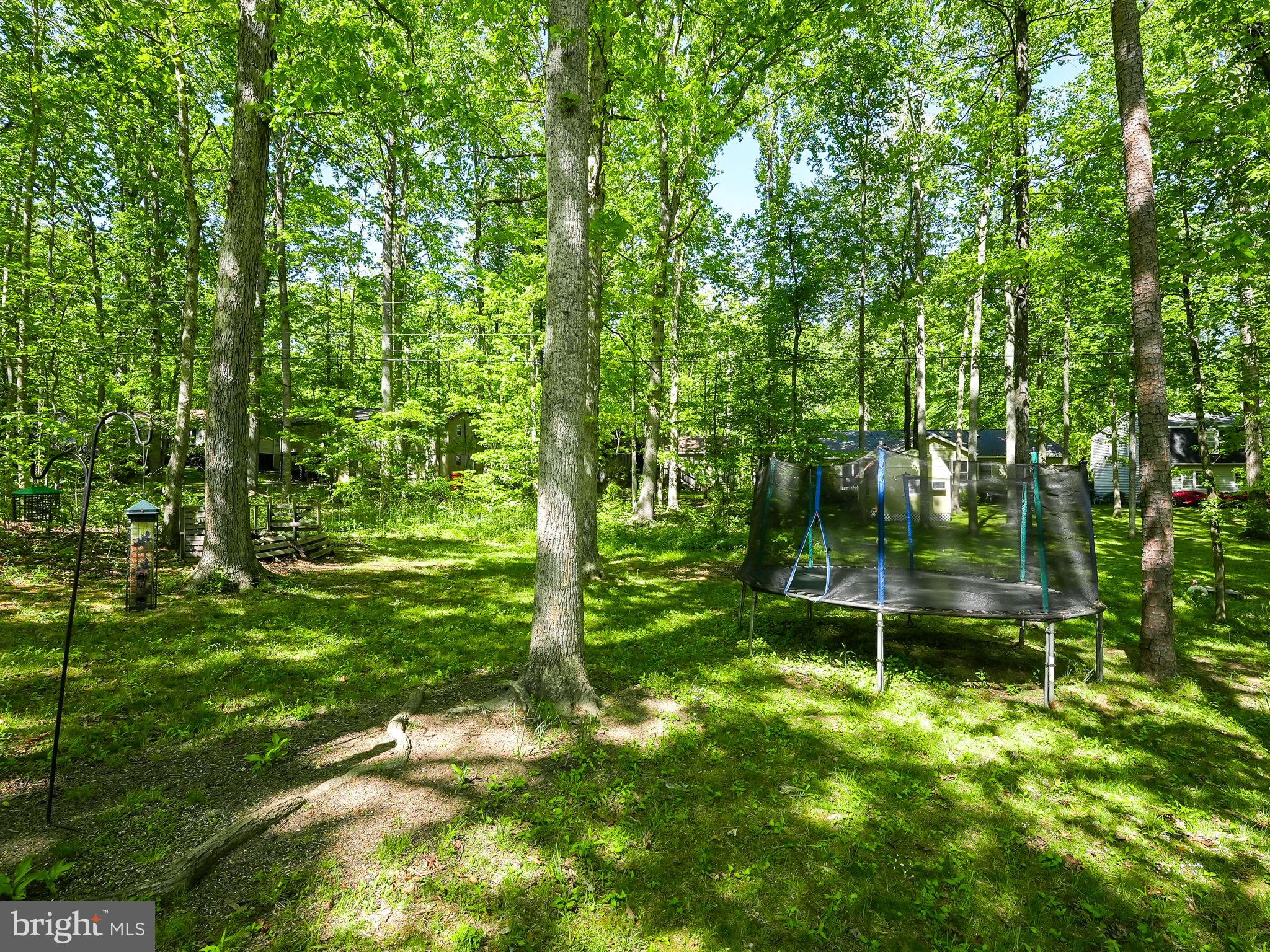 213 Birdie Road Locust Grove, VA 22508 - Photo 40 of 40 Gallery Image 40