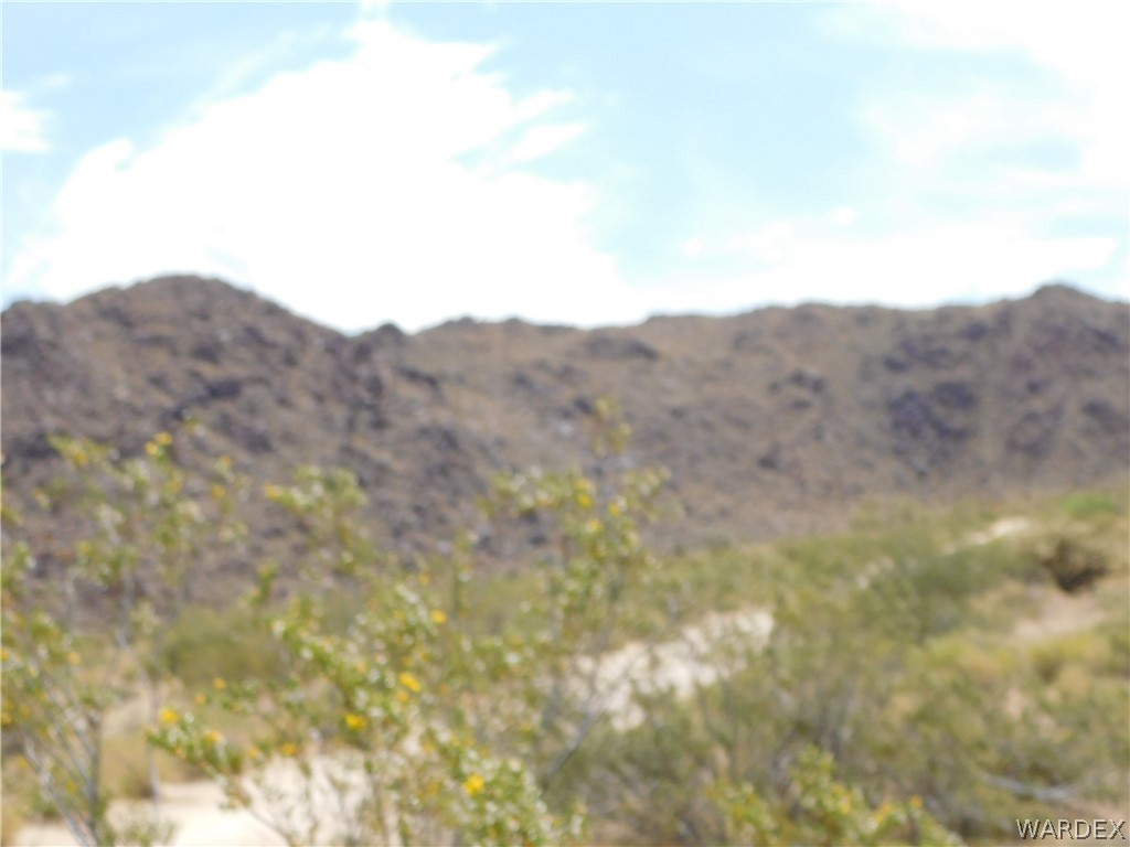 11844 Duquesne Road Yucca, AZ 86438 - Photo 7 of 12 a view of a dry field with mountains in the background