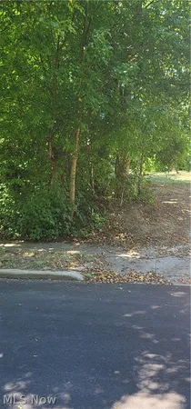 $8,000 | Kline Avenue, Akron, OH 44305