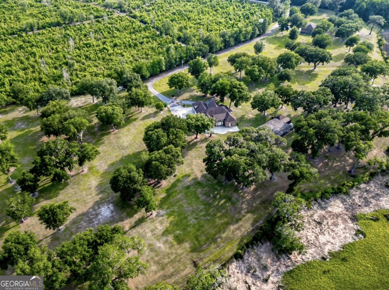 3917 Harris Neck Road Townsend, GA 31331 - Photo 3 of 4 a plant with lots of trees