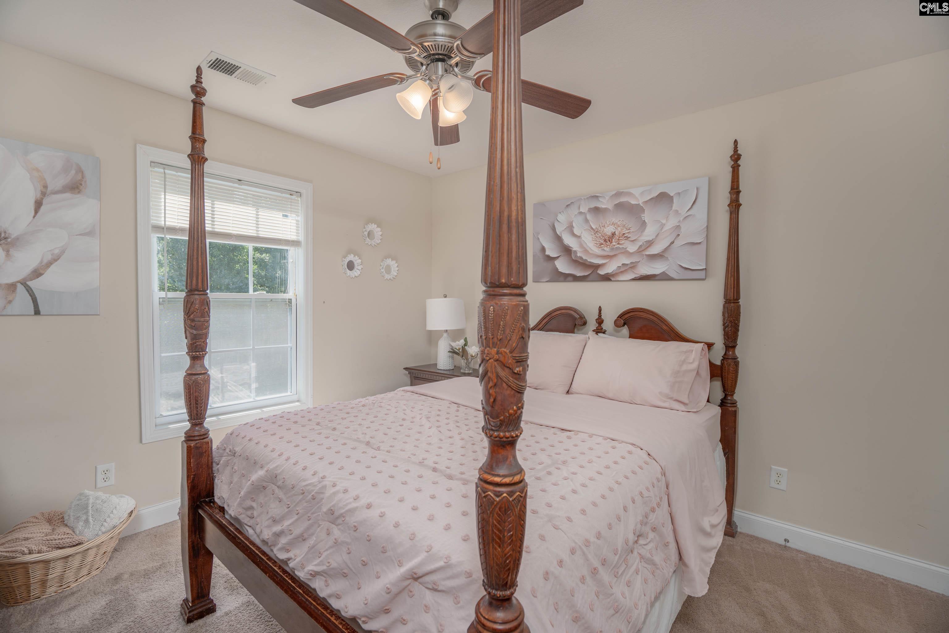 133 Palm Street Chapin, SC 29036 - Photo 20 of 37