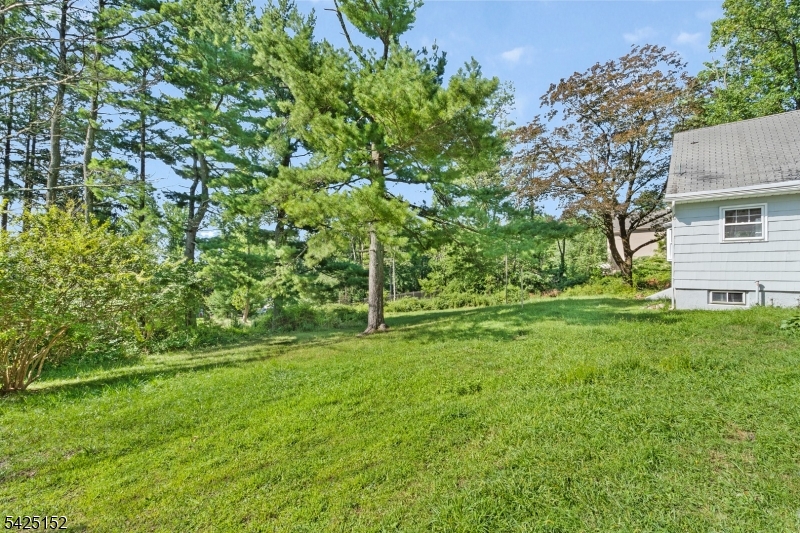 a view of a backyard with large trees