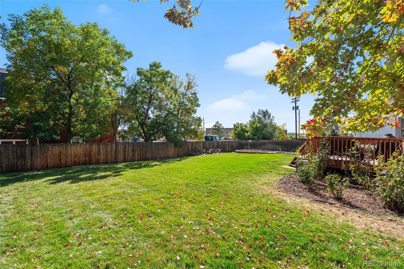 4418 Fig Street Golden, CO 80403 - Photo 37 of 50