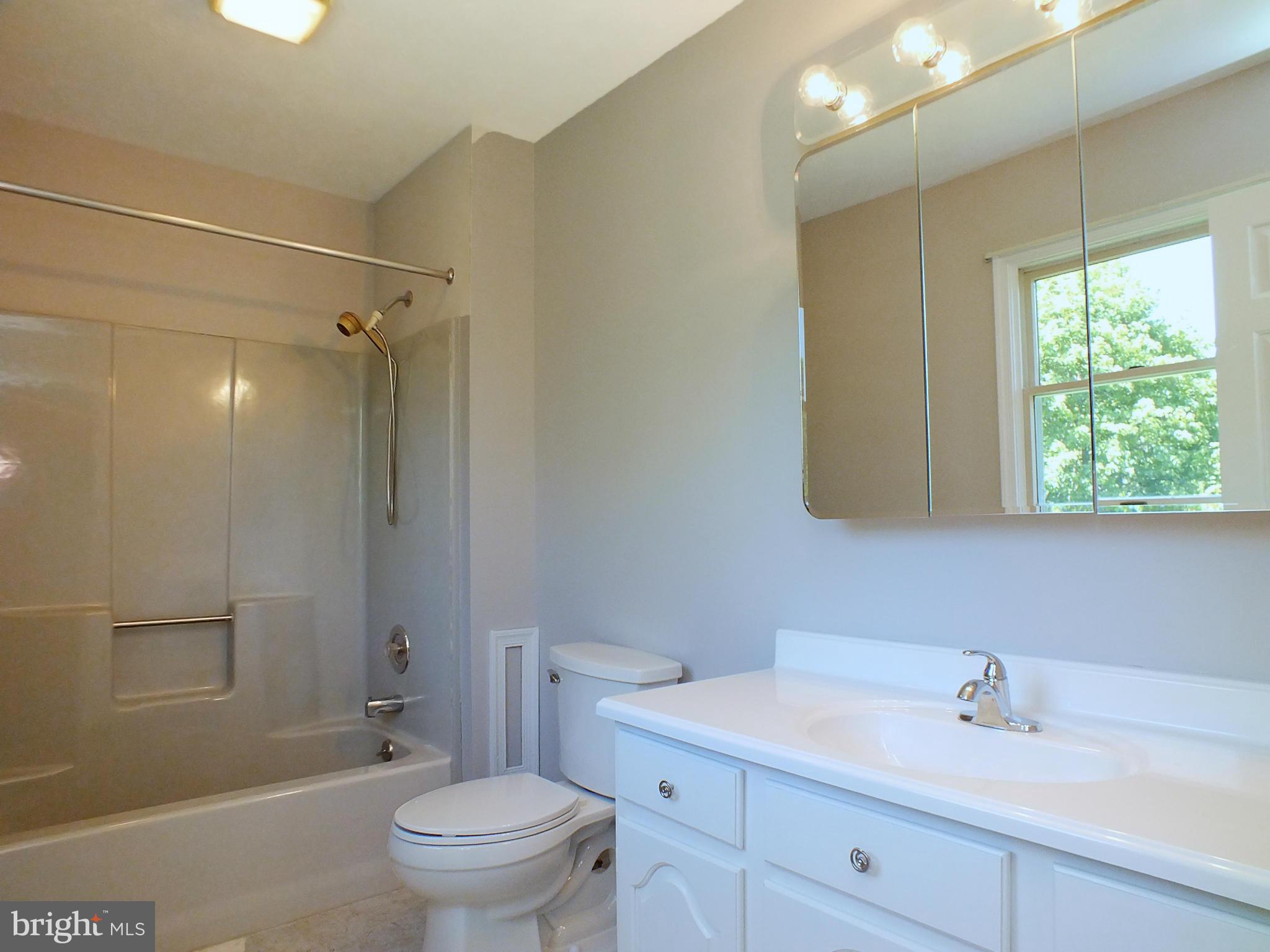 18249 Falls Road Hampstead, MD 21074 - Photo 17 of 30 a bathroom with a sink a toilet and shower