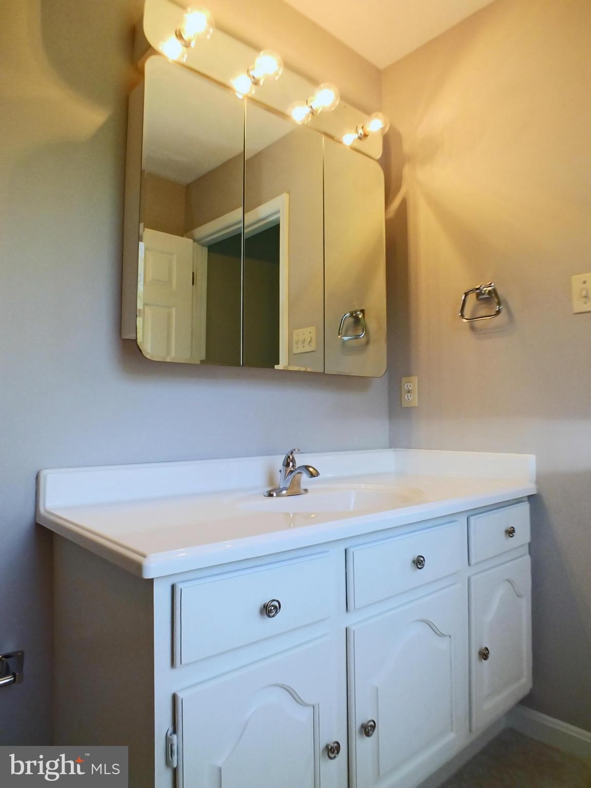18249 Falls Road Hampstead, MD 21074 - Photo 18 of 30 a bathroom with a sink and a mirror