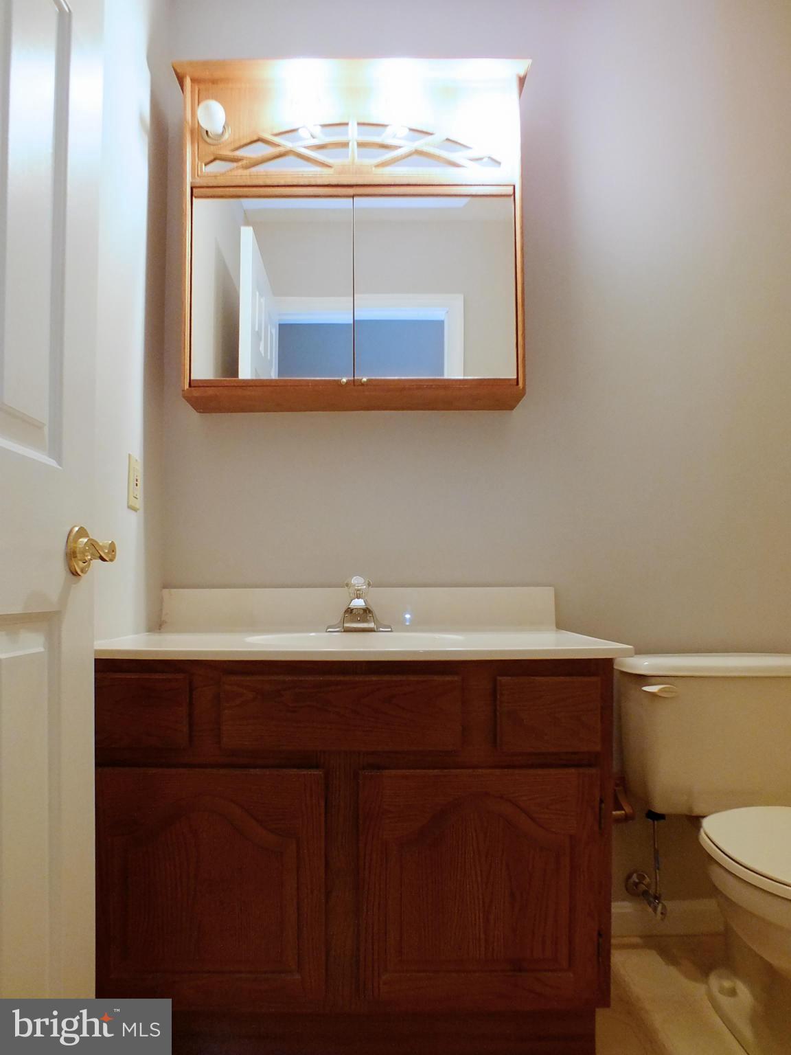 18249 Falls Road Hampstead, MD 21074 - Photo 22 of 30 a bathroom with a sink and a toilet