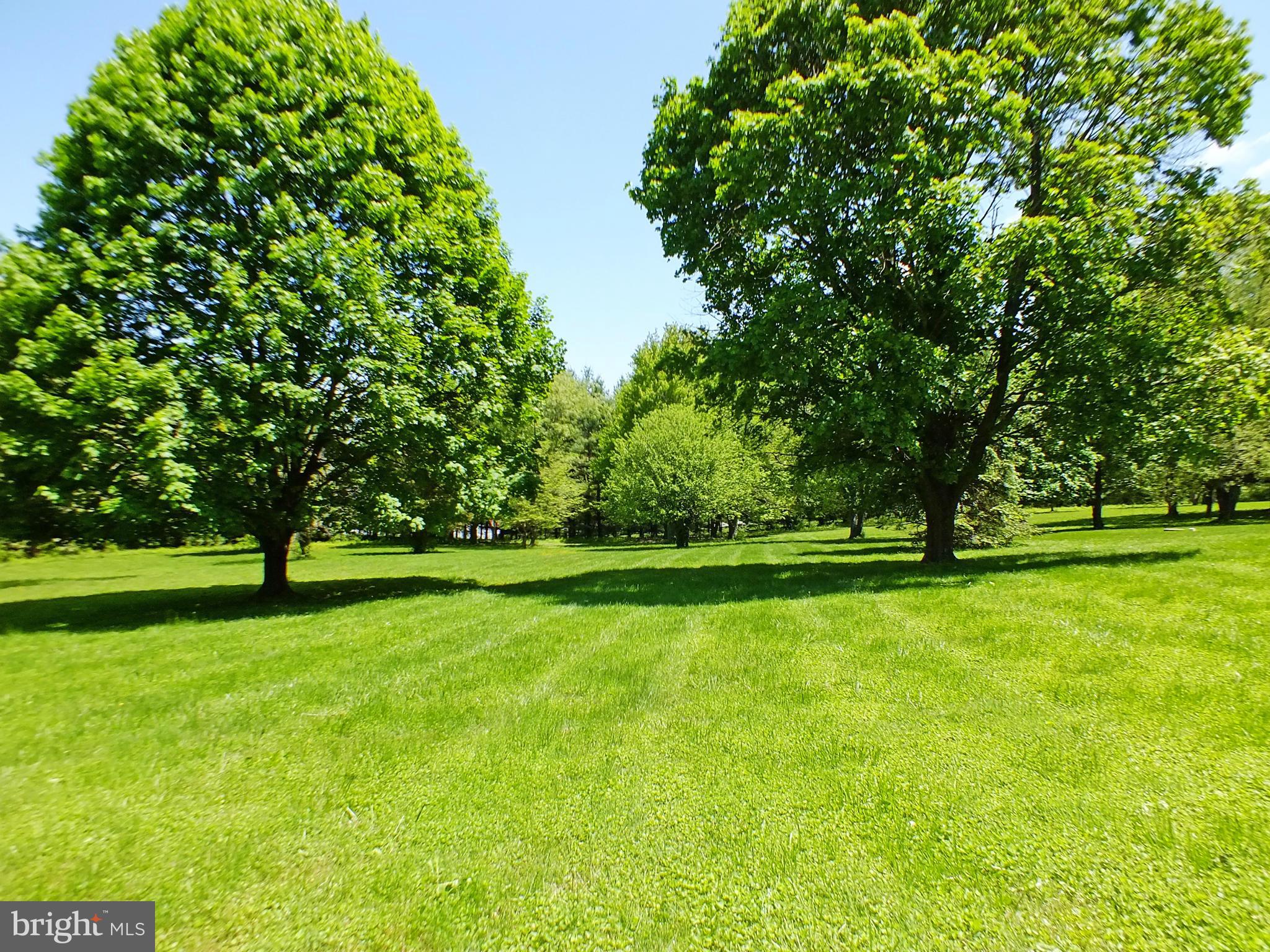18249 Falls Road Hampstead, MD 21074 - Photo 29 of 30 a view of a trees and a yard