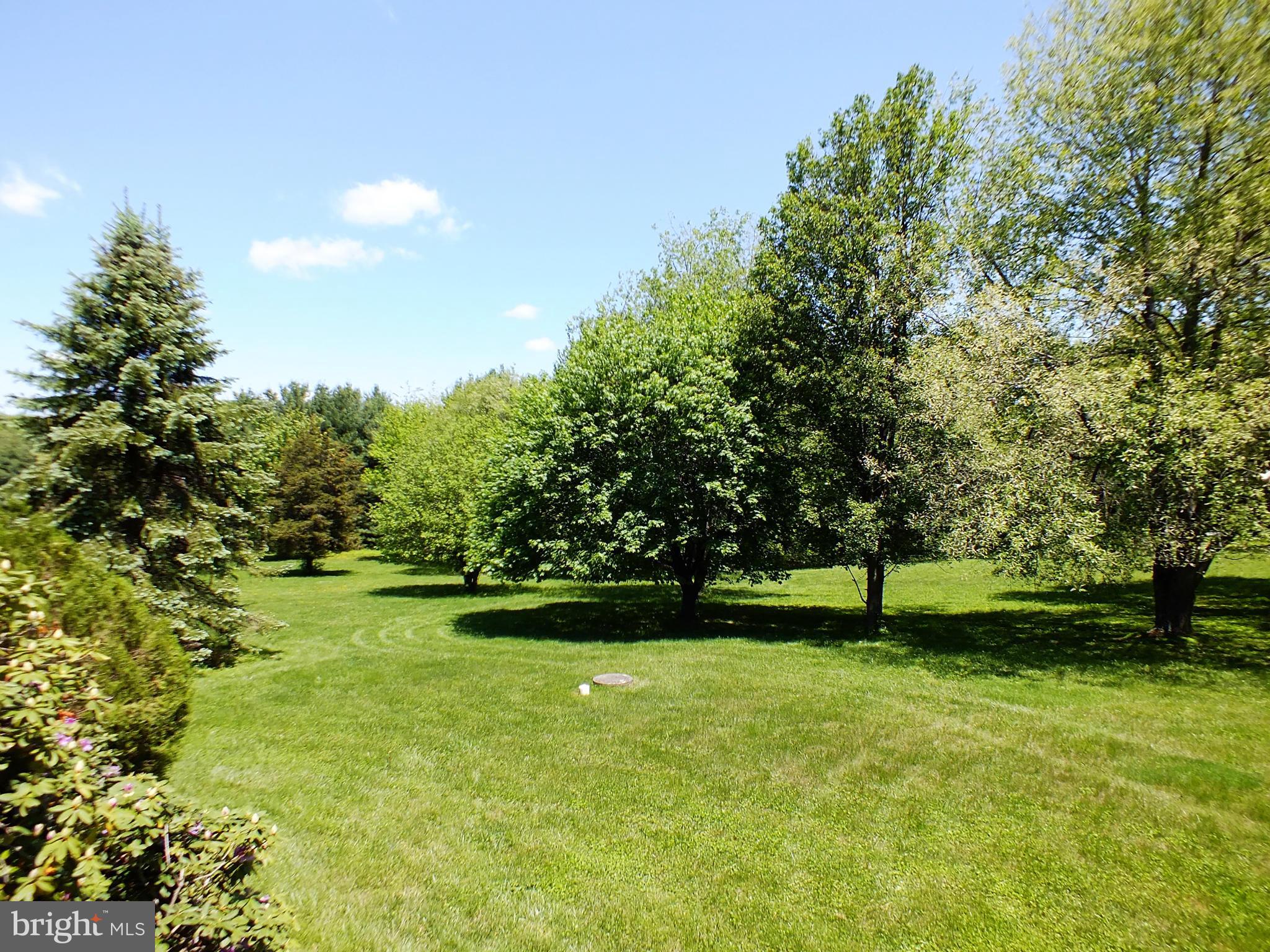 18249 Falls Road Hampstead, MD 21074 - Photo 30 of 30 a view of yard with green space