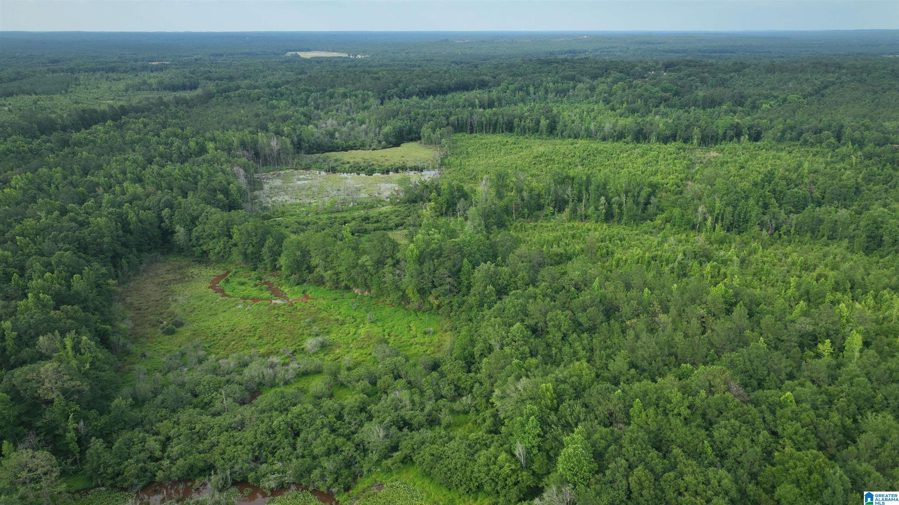 0 Midway Road Tuskegee, AL 36083 - Photo 7 of 30