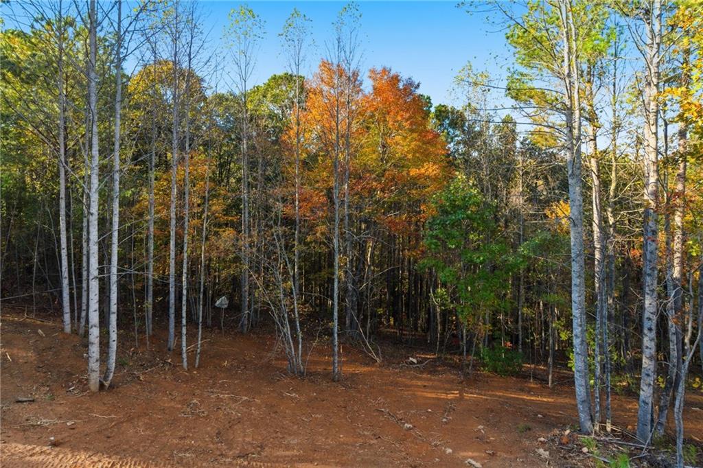 165 Field Stone Circle Jasper, GA 30143 - Photo 36 of 41
