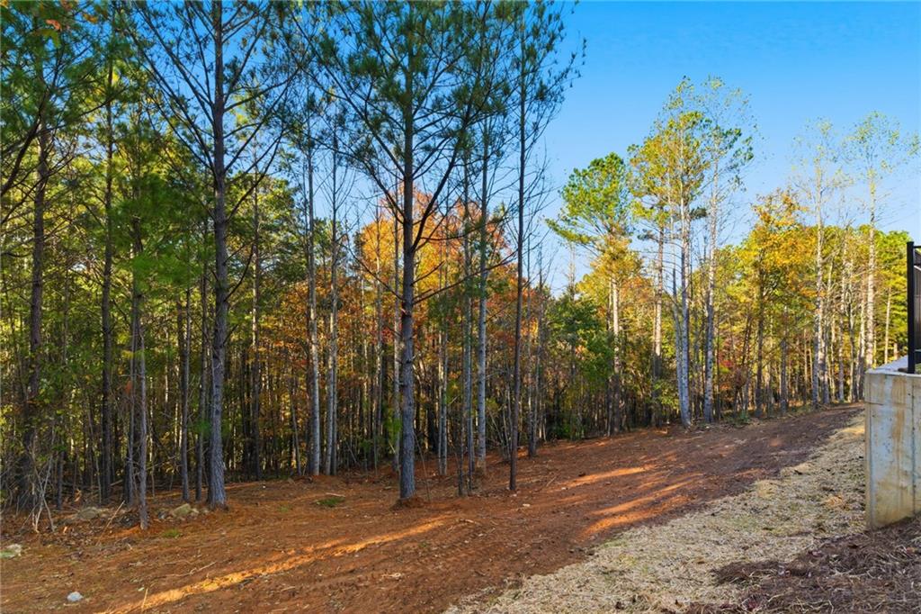165 Field Stone Circle Jasper, GA 30143 - Photo 37 of 41