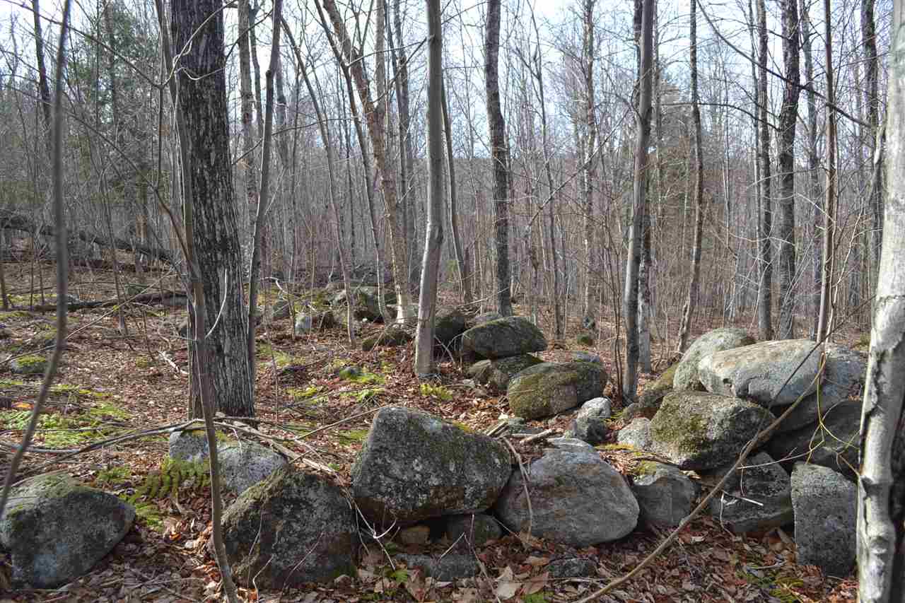 129 Braley Hill Road Alexandria, NH 03222 - Photo 11 of 16