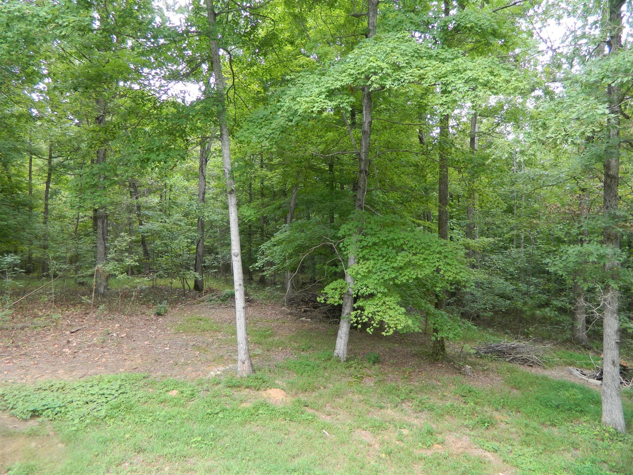 8006 Ridgewood Road Goodlettsville, TN 37072 - Photo 4 of 19 a green field with lots of trees