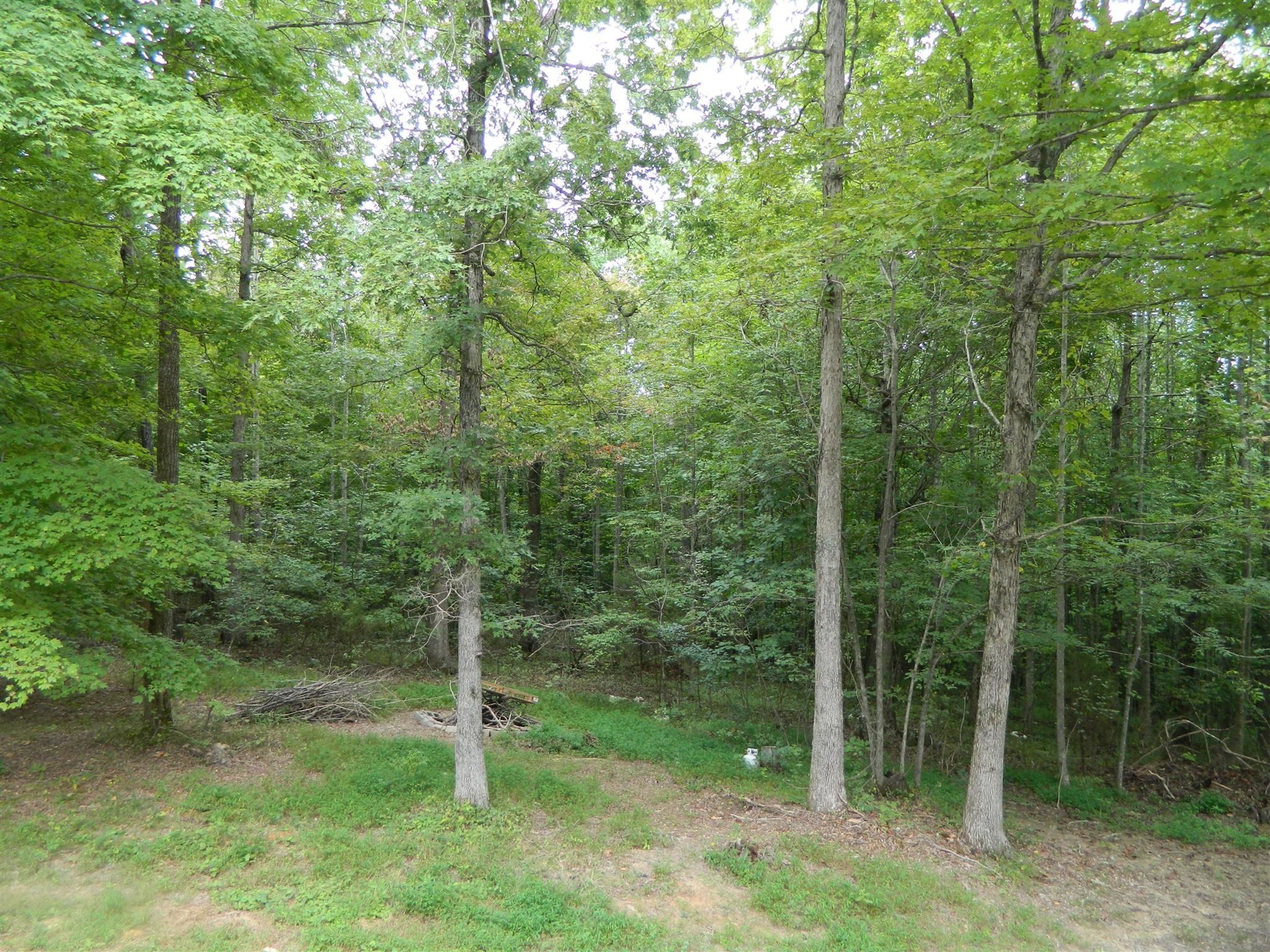 8006 Ridgewood Road Goodlettsville, TN 37072 - Photo 5 of 19 a view of a forest