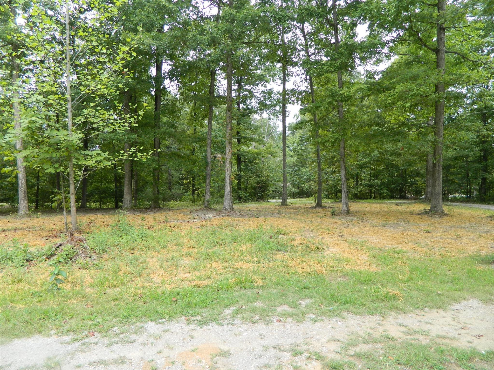8006 Ridgewood Road Goodlettsville, TN 37072 - Photo 7 of 19 a view of backyard with green space
