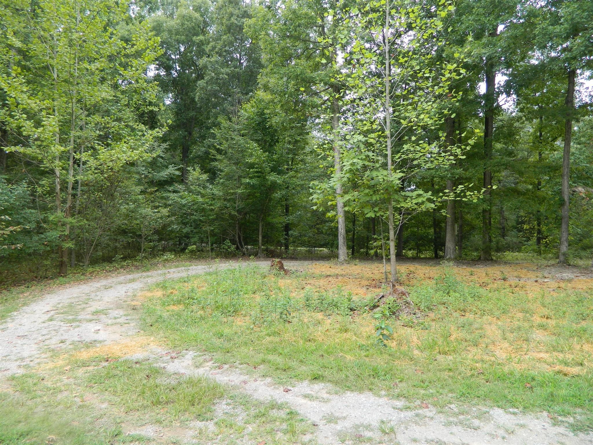 8006 Ridgewood Road Goodlettsville, TN 37072 - Photo 8 of 19 a view of backyard with green space