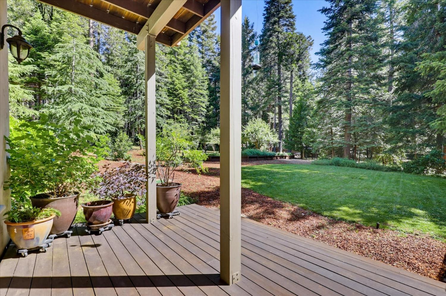 19217 Scotts Flat Road Nevada City, CA 95959 - Photo 79 of 89