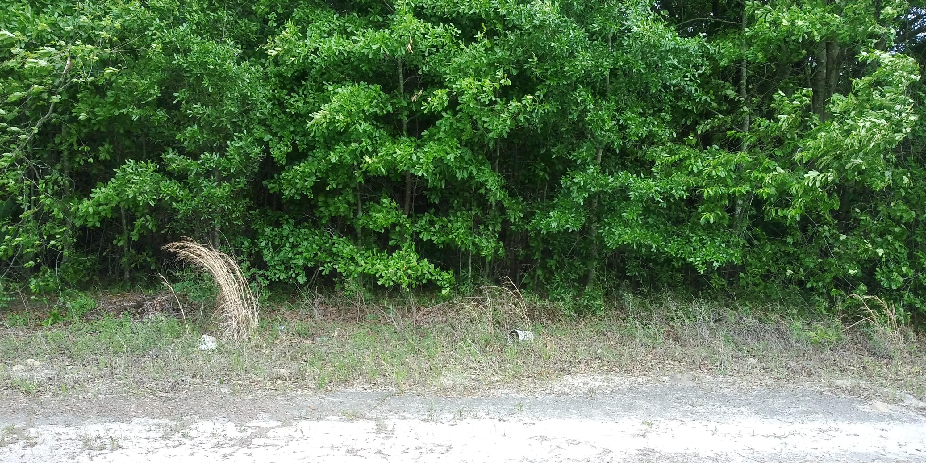 0 Eldorado Road Cross, SC 29436 - Photo 1 of 7 Raw Land