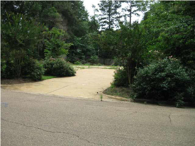 1145 Martingale Road Jackson, MS 39206 - Photo 5 of 11 Photo 5