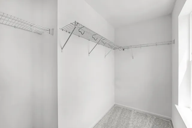 a view of a room with racks on the wall