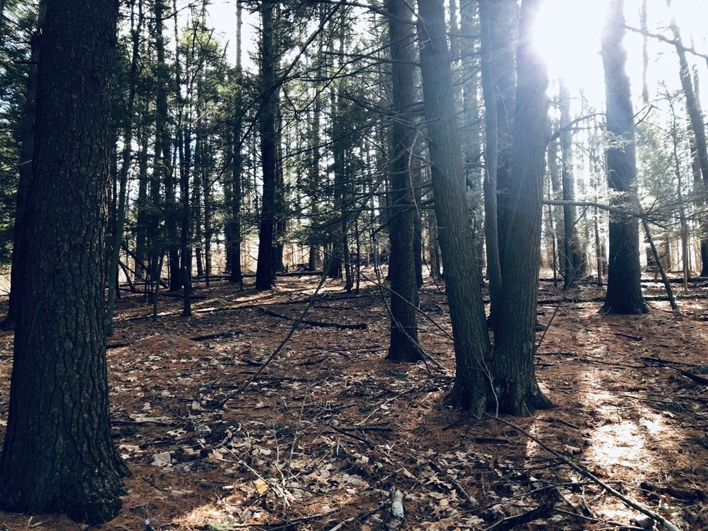 500 Cooper Road Northbridge, MA 01534 - Photo 3 of 6 a view of outdoor space with lots of trees