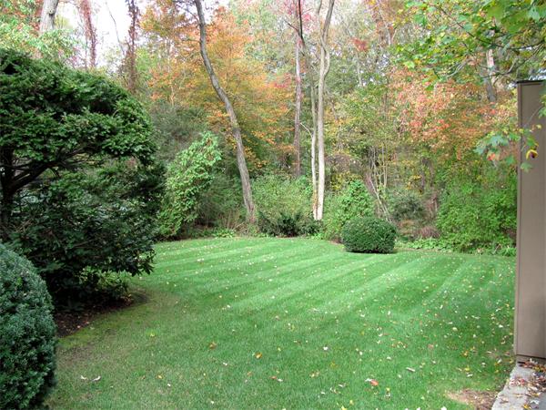 38 Clearwater Road Brookline, MA 02467 - Photo 17 of 17
