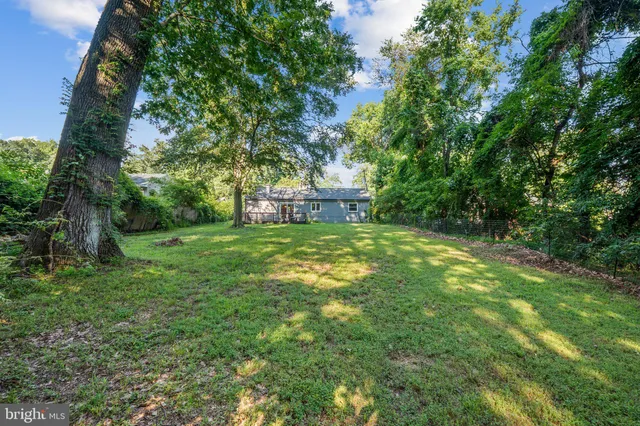 a view of a backyard with a small cabin