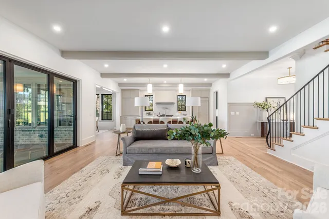 a living room with furniture a rug and a potted plant