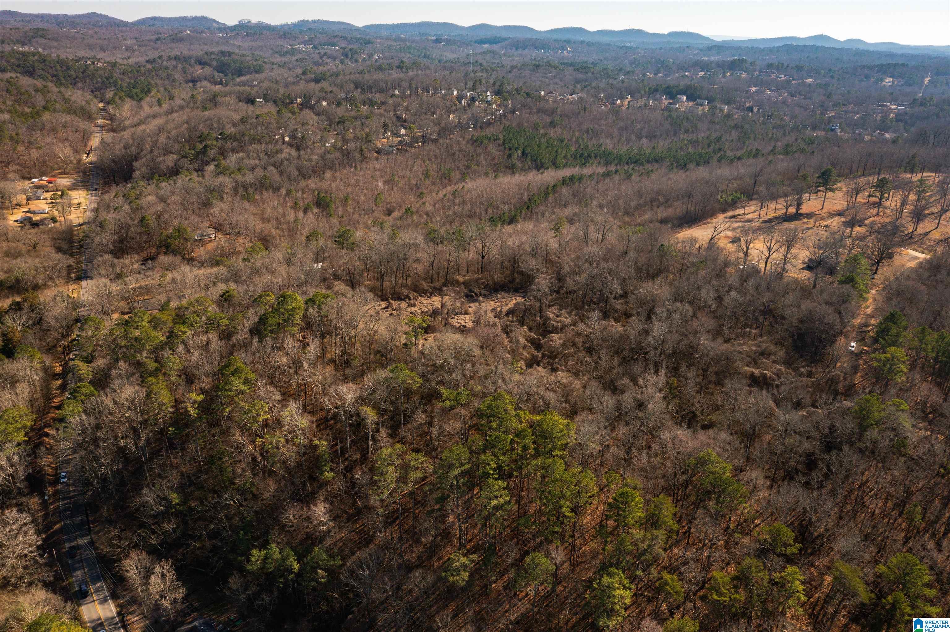 4392 Buzbee Road, Unit 1 Pinson, AL 35126 - Photo 20 of 27