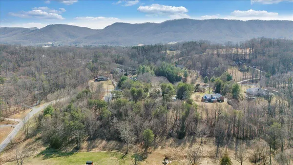 a view of mountain with trees in background