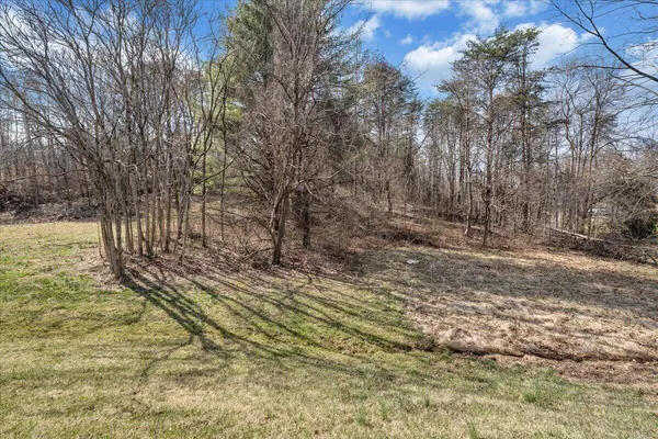 a view of a yard with trees