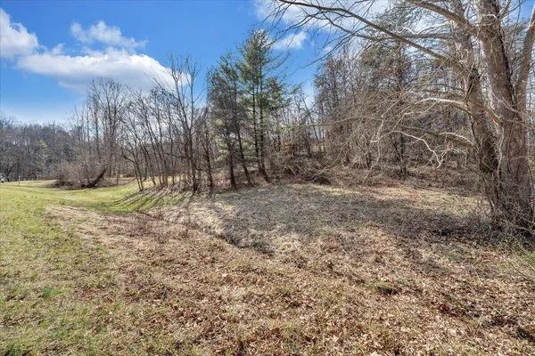 a view of outdoor space with trees all around
