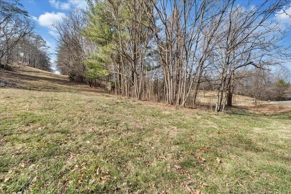 a view of yard with tree