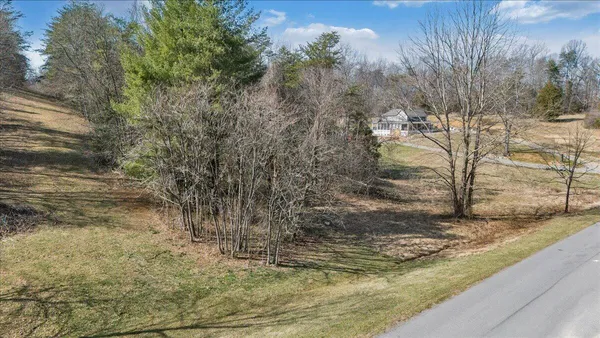 a view of a yard with large trees