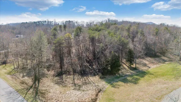 a view of a yard with a tree